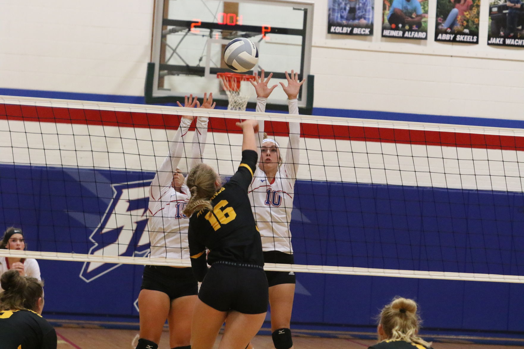Volleyball (16).JPG